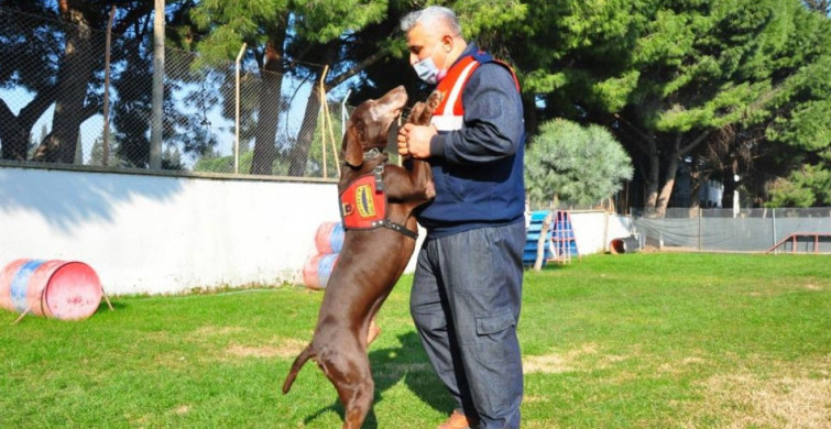 Narkotik Köpeği Volta Emekli Oldu