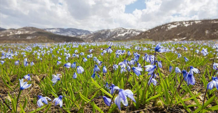 Nevruz ne zaman, hangi gün kutlanacak? 2022 Nevruz Bayramı tarihi