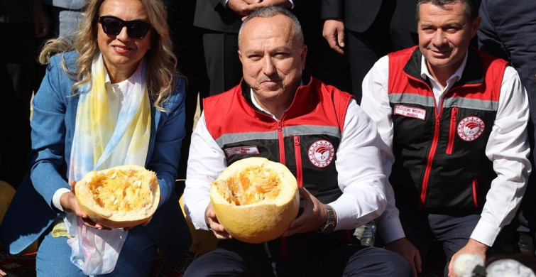 Nevşehir'de Çerezlik Kabak Çekirdeği Hasadı Başladı