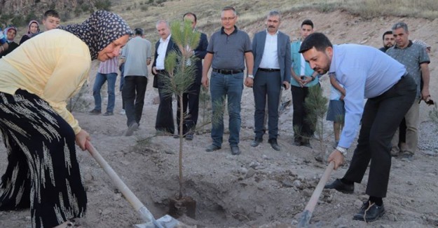 Nevşehir’de Her Yeni Doğan ve Ölen Kişi İçin Bir Fidan Dikilecek
