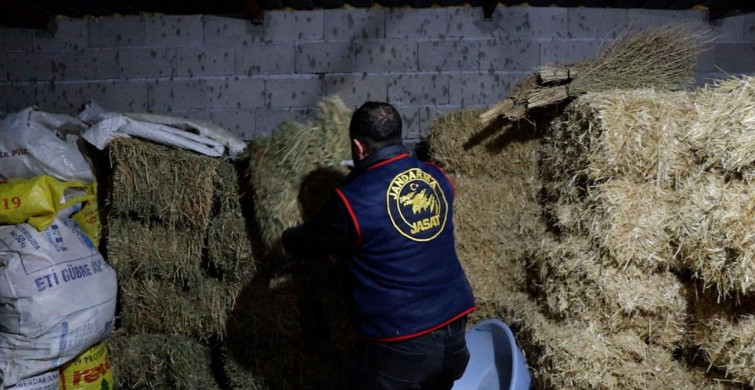 Nevşehir'de Rüşvet Operasyonu: 4 Gözaltı