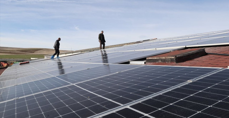 Nevşehir'de Süt Üretiminde Başarı Hikayesi