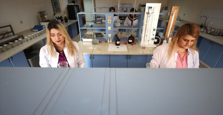 Nevşehir'de Toprak Analizi ile Kabak Çekirdeği ve Patatesin Verimi Artıyor