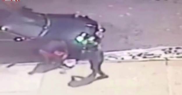 New York'ta Sokak Ortasında Kan Donduran Cinayet
