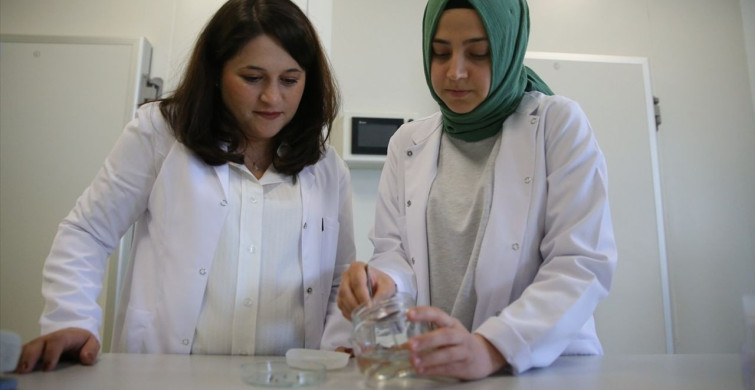 Niğde'de Doğal Tohum Kaplama Malzemesi Geliştirildi