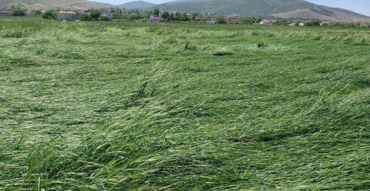 Niğde’de Tarımsal Alanlara Dolu ve Sağanak Zararı