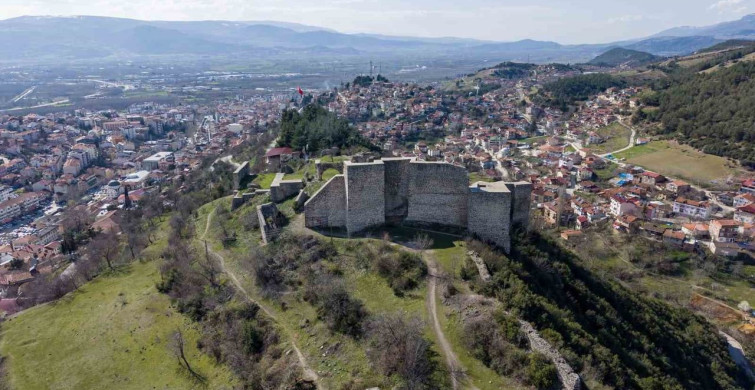 Niksar Kalesi: Zamana Direnen Tarih