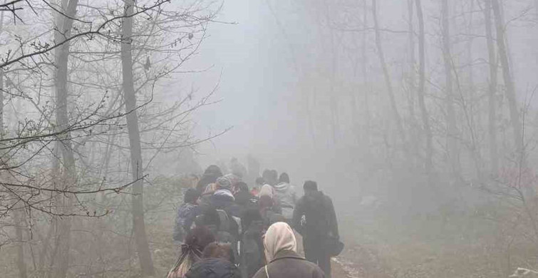 Nilüfer Belediyesi'nden Kansere Karşı Farkındalık Yürüyüşü