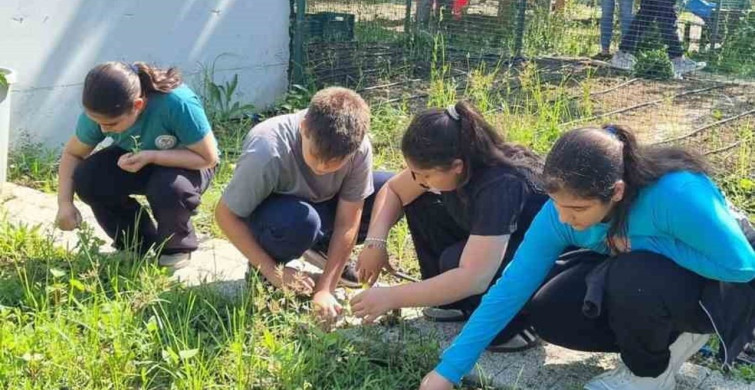 Nilüfer Belediyesi'nden Öğrencilere Fide Dikim Etkinliği