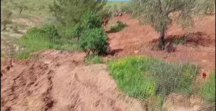 Nizip'te Traktör Kazası: Bir Çiftçi Hayatını Kaybetti
