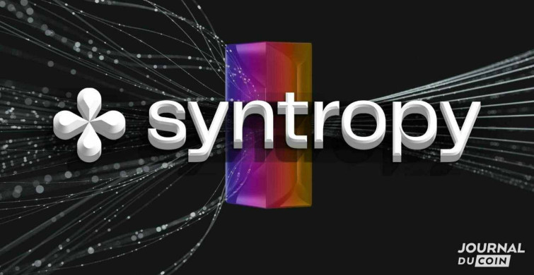 Noia Syntropy coin nedir? Syntropy coin projesi ve yol haritası