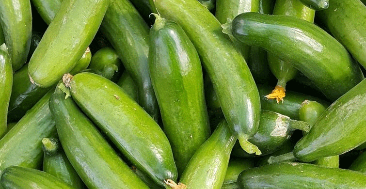 Ocak Ayında Salatalığa Zam Üstüne Zam
