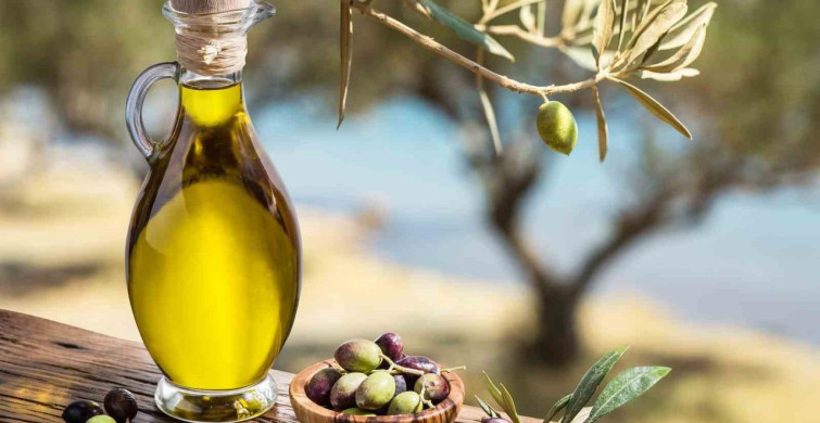 Ocak-Mayıs döneminde Muğla'nın ihracatı yüzde 6,5 arttı