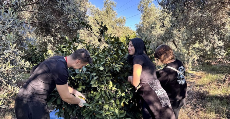 ODTÜ'lü Öğrenciler Hatay'da Mandalina Hasadına Katıldı