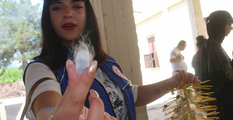 Öğrenciler Ipek Böceği Üretimini Öğreniyor
