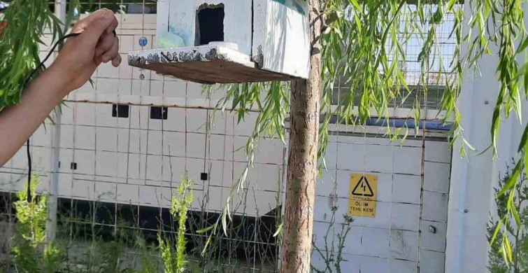 Öğrencilerden Kuşlar İçin Anlamlı Proje