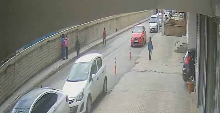 Öğrencilerin Kurtarmaya Çalıştığı Yavru Kuş Karga Tarafından Kapıldı