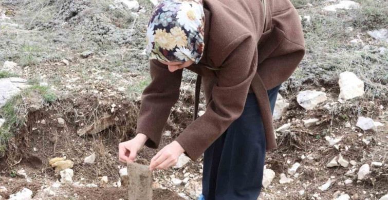 Öğretmen Adayları Fidan Dikti