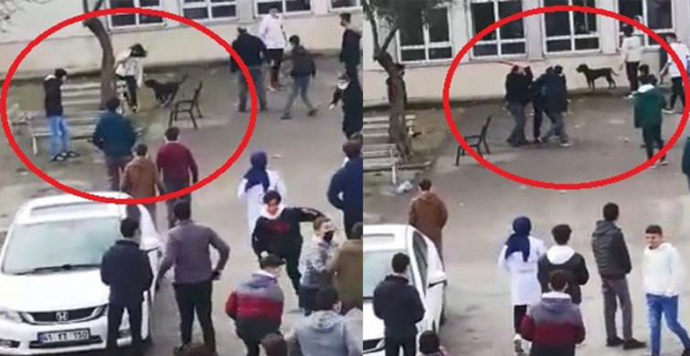 Okul Bahçesine Giren Pitbull Öğrencilere Korku Dolu Anlar Yaşattı