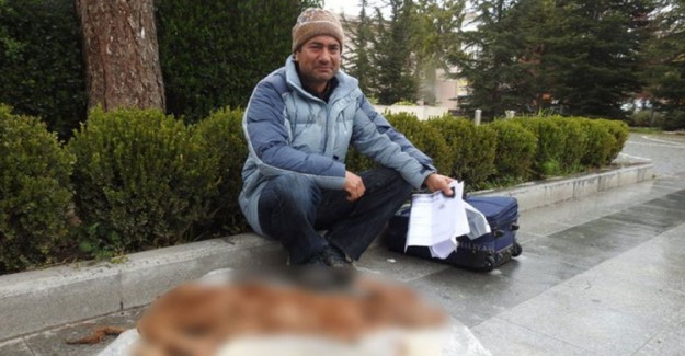 Ölen Buzağısı İçin Otopsi İstedi
