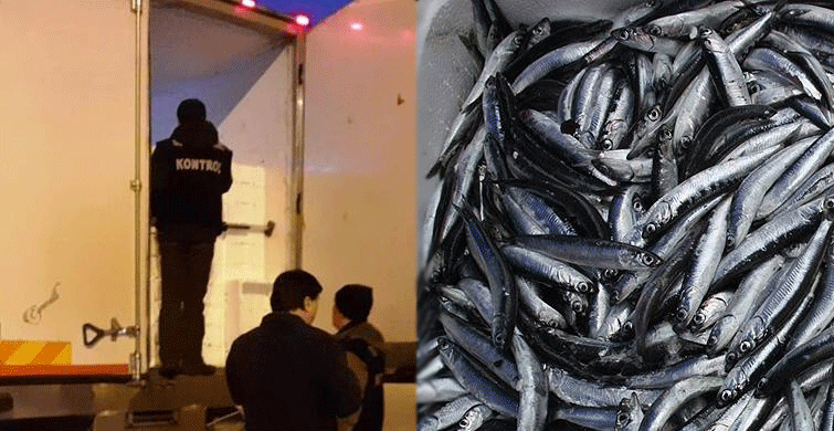 Operasyonla Karadeniz'de 1,5 Ton Balığa El Koyuldu