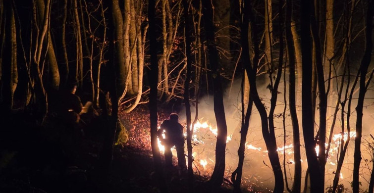 Ordu Kumru'da Örtü Yangınına Müdahale Devam Ediyor