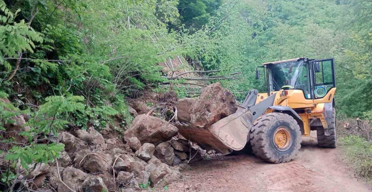 Ordu'da 214 Heyelan: Büyükşehir Belediyesinden Önlemler