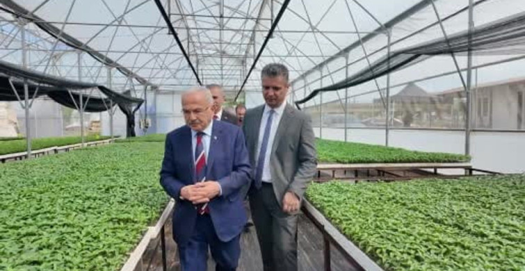 Ordu'da 300 Bin Yazlık Sebze Fidesi Dağıtımı