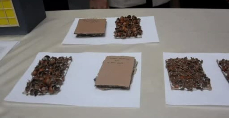 Ordu'da Bilim Projeleri Sergilendi