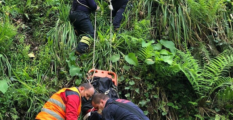 Ordu'da Bir Kişi Kestiği Ağaçla Beraber Dereye Uçtu
