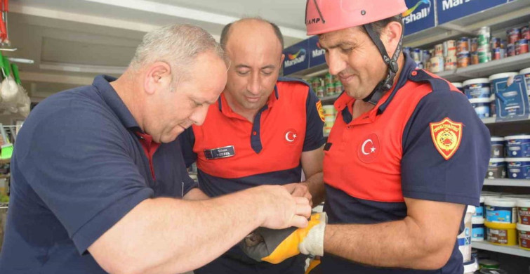 Ordu'da itfaiye ekipleri, ebabil kuşunu kurtardı