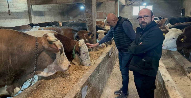 Ordu'da Kurbanlık Hayvan Pazarlarında Hareketlilik Artıyor
