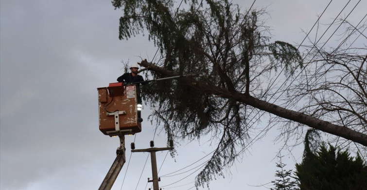 Ordu'da Şiddetli Rüzgar Elektrik Tellerini Hasara Uğrattı
