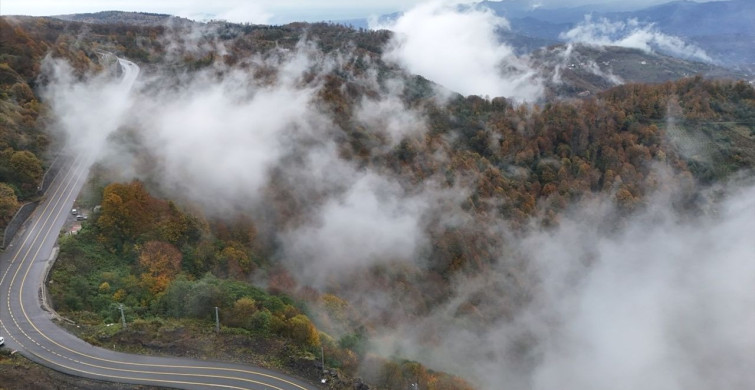 Ordu'da Sonbahar Güzellikleri Sisle Buluştu Ordu'da Sonbahar Güzellikleri Sisle Buluştu
