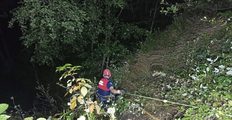 Ordu'da Tarım Aracı Uçuruma Düştü: Genç Sürücü Hayatını Kaybetti