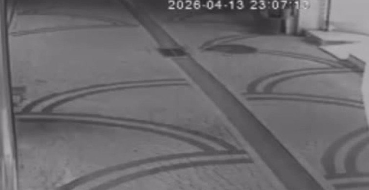 Ordu'da Telefon Hırsızlığı Güvenlik Kamerasında