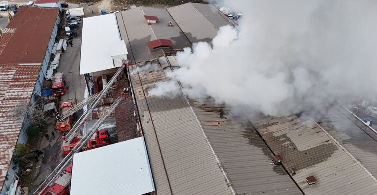 Ordu'da Yangın Kontrol Altına Alındı