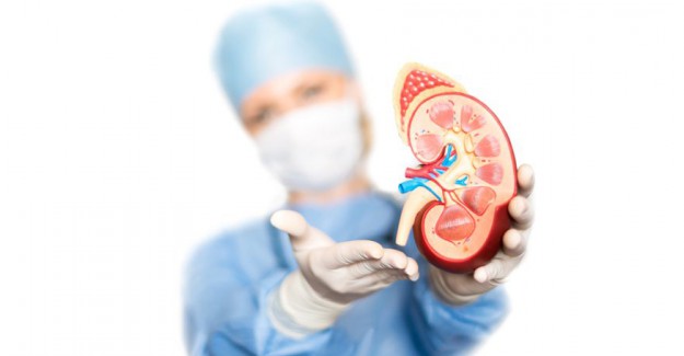 Organ Bağışı Konusunda En İstekli Beş Ülkeden Biriyiz
