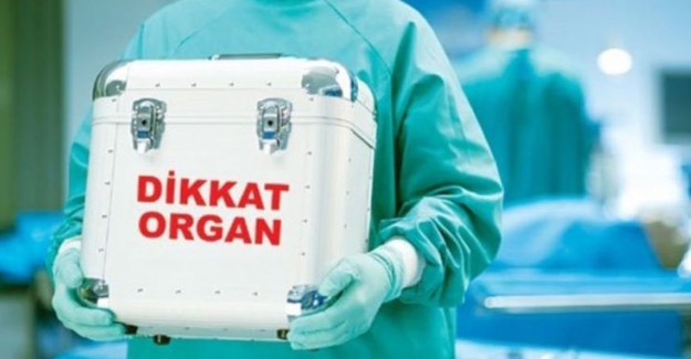 Organ Nakli Yaşamı Uzatıyor