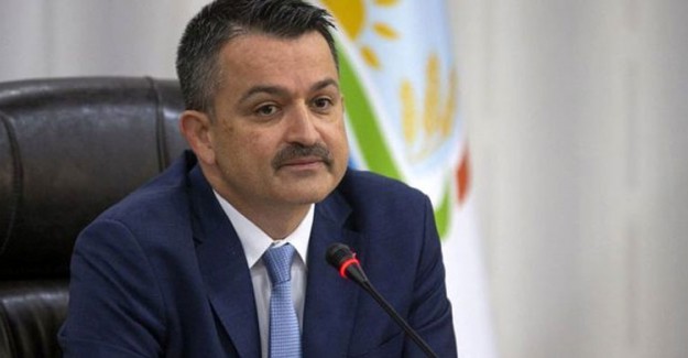 Orman Bakanı Bekir Pakdemirli: 6 Uçağın 3'ünde Motor Yok