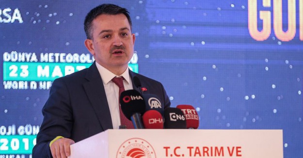 Orman Genel Müdürlüğü 5 Bin Personel Alacak