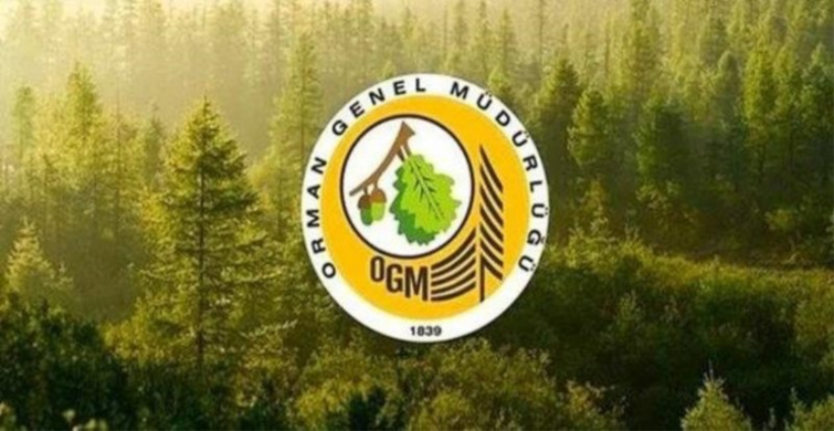 Orman Genel Müdürlüğü’nden müjde duyuruldu! 861 personel alımı için başvuru ekranı açıldı