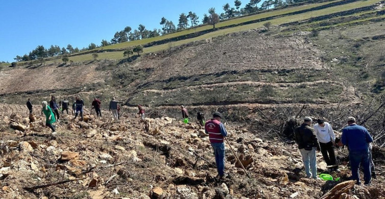 Orman Haftası Fidanları Toprakla Buluşturdu