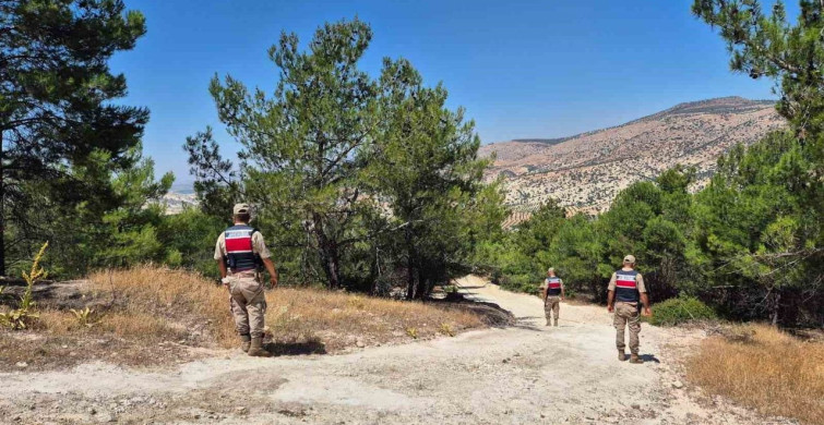 Orman yangınlarına karşı jandarmadan denetim