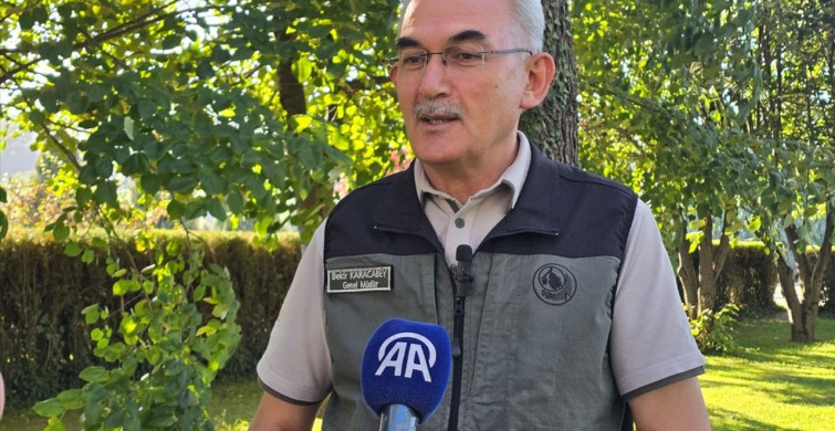 Orman Yangınlarıyla Mücadelede Farkındalık ve Sorumluluk Bilinci