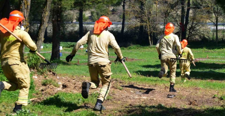 Ormancılıkta Rekabet: Madalyalar İçin Yarıştılar