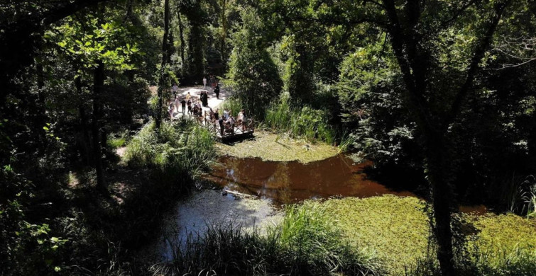 Ormanya ve Kuzuyayla Tabiat Parkı 5 Milyon Ziyaretçiyi Ağırladı