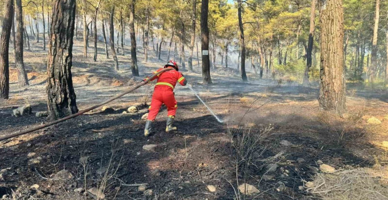 Ortaca'da orman yangını: ekipler havadan ve karadan müdahale ediyor