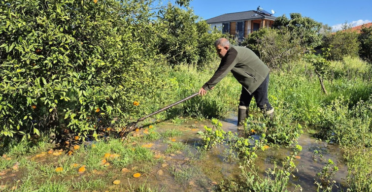 Ortaca'da Su Baskınları Yaşamı Zorluyor