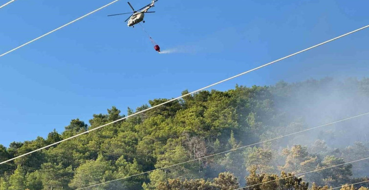 Ortaca'daki orman yangını kontrol altına alındı